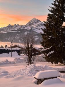 Chalets CHALET FAMILIAL AU PIED DES PISTES ET COMMERCES : photos des chambres