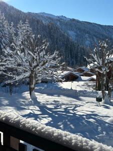 Chalets CHALET FAMILIAL AU PIED DES PISTES ET COMMERCES : photos des chambres