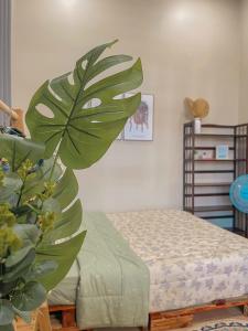 Cỏ Homestay Phan Thiết