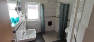 Ferienhaus Wangermeer