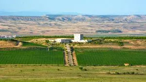 Hotel Pago De Cirsus - Cascante