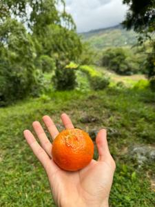 Casa Bosque Luxescape in Nature