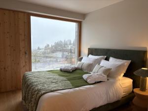 Chalets Chalet DU MERLE - CHAMP DU FEU - NEUF 5 ETOILES : photos des chambres