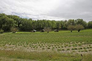 Maisons d'hotes Les Anes de Forcalquier : photos des chambres