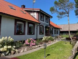 Jono Bulavino sodyba - Muižė