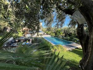 Villas Magnifique Bastide des Oliviers classee 5 etoiles : photos des chambres