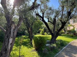 Villas Magnifique Bastide des Oliviers classee 5 etoiles : photos des chambres