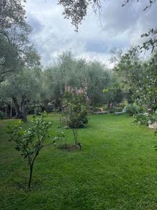 Villas Magnifique Bastide des Oliviers classee 5 etoiles : photos des chambres