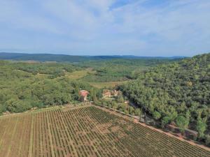 Luxury farmhouse with pool on a 300 hectare wine estate in rural Provence