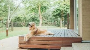 Imitelis Biotop - Vacation STAY 05281v - Katori