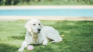 Imitelis Biotop - Vacation STAY 05286v - Katori