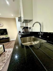 Central London brand new apartment