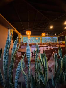 ocobos club campestre