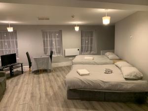 Viking triangle Waterford city