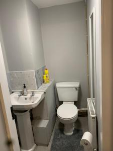 Viking triangle Waterford city