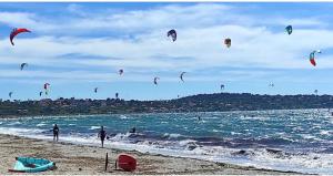 Appartements Le California - Port de Carqueiranne et plages : photos des chambres