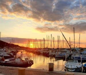 Appartements Le California - Port de Carqueiranne et plages : photos des chambres