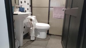 Tropical Noir at Family Lodge