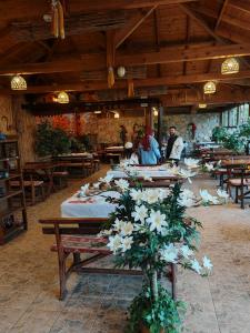 Köyevi Teras Bungolov