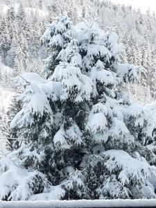 Appartement a la montagne ,vue sur les pistes