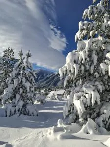 Green cottage - Svinjača