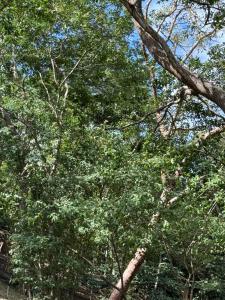 Colonial Guanacaste Villas