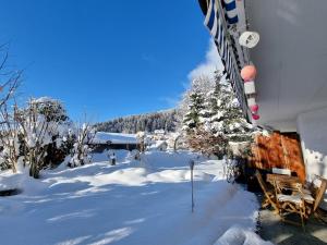 Half chalet with garden & balcony - 2 to Ski bus