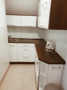 Go2Krynica - Zielony PitStop