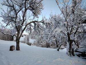 3 Pièces LEDELWEISS