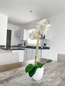 Alejandria Mazatlan Vacation Rental