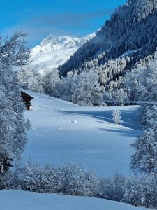 Appartements Studio LE FLOCON : photos des chambres