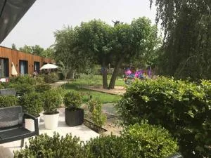 Garden Apartments - فيليكا بلازا