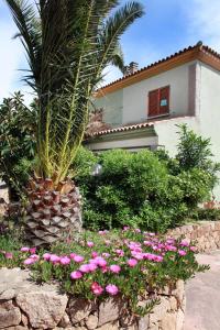 Verande Tanca Torre img13