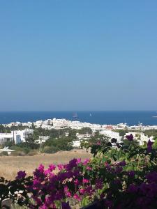 Villa Anna Paros Greece