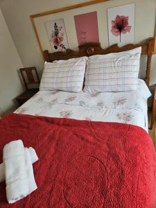 casaapartamento centro Santa Teresa-ES