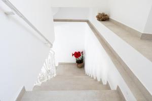 FONTE DOLIO CONERO RELAIS