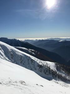 Appartements Appartement 4 p : photos des chambres