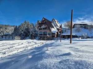 VilaBellavistasmjestaj - 弗拉西克