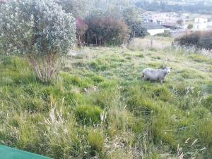 Casa campestre a 3 kilómetros del páramo de Ocetá