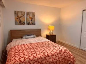 Bright Shiny Room - Coquitlam