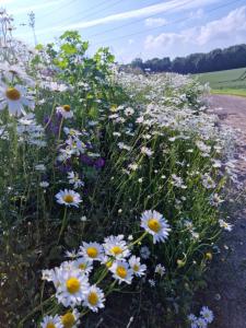 ULALA CHARLEROI AIRPORT Bruxelles