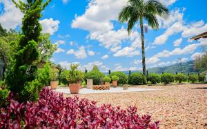 Morada Das Cerejeiras - Espaçosa e Ideal para Pets