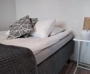 Väinö Apartment 16 - 于韦斯屈莱