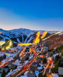 Appartements Appartement terrasse pied des pistes coeur station wifi : photos des chambres