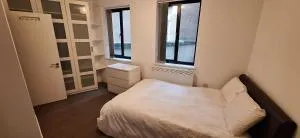 Cozy en-suite in central London in shared flat - London
