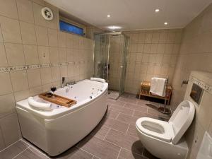 World championship ski 2025-Cozy house for rent