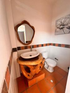 Casa del gato Guamo