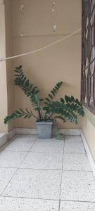 Apartamentos Equipados 1