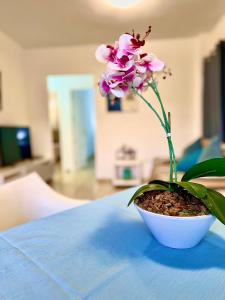 Primavera calm and sunny