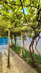 Hermosa casa en Cosquín, cercana al balneario y al centro